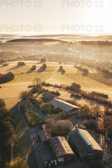 View of a farm and fields in warm morning light, surrounded by trees, Gechingen, hedges and GÃ¤u