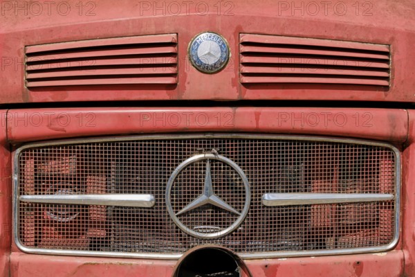 Close-up of a weathered Mercedes-Benz truck, classic car with logo, emblem, from the so-called
