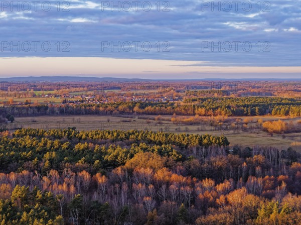 Mixed autumn forest in the evening light near LÃ¼bben in the Dahme-Spreewald district in Lower