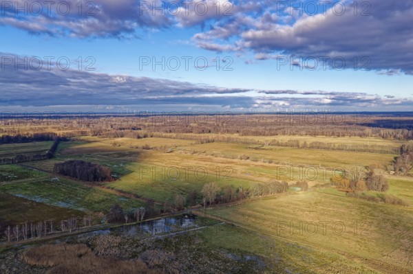 Forest and meadow landscape of GroÃŸ LÃ¼bbenau in the Oberspreewad-Lausitz district, UNESCO