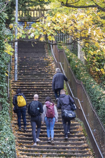 Willy Reichert squadron. There are up to 400 stables in Stuttgart. The stairs not only serve as a