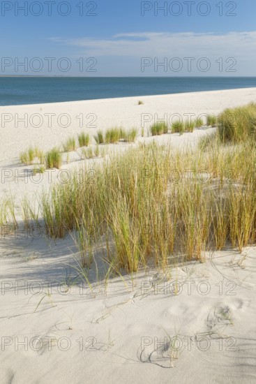 Sand dunes and an elbow beach on the coast of the German island of Sylt with a view of the island