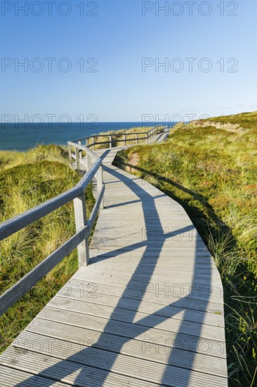 Wooden trail near Kampen along the coast of the island of Sylt, Germany