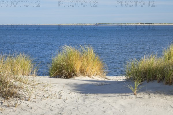 Elbow sand dunes on the coast of the German island of Sylt with a view of the island of RÃ¸mÃ¸ in