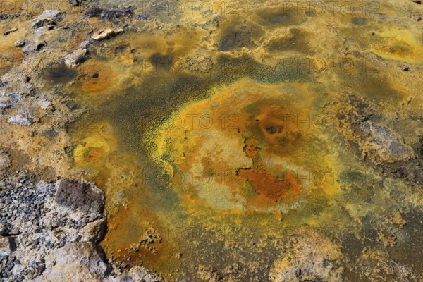 Volcanic, mineral-rich landscape of yellow and orange earth tones with textured surface, geothermal