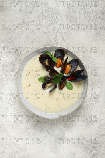 Chowder cream soup with mussels, American cuisine, homemade, no people