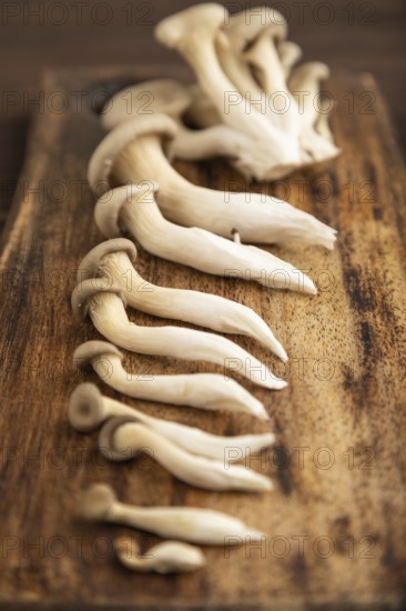 Raw Oyster mushroom, Pleurotus ostreatus on cutting board on brown wooden background. Side view,