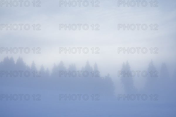 Thick fog slowly clears over snowy landscape