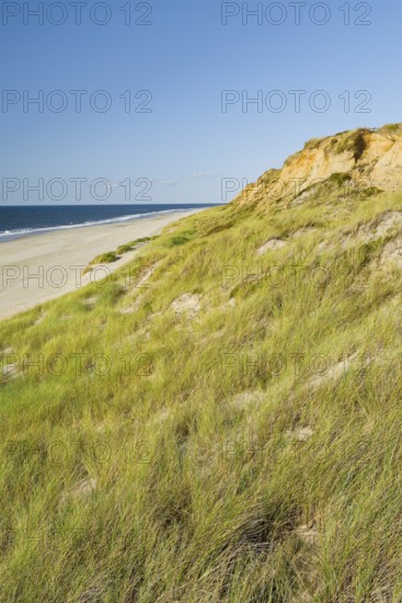 Red Cliff, steep coast on the island of Sylt, Germany