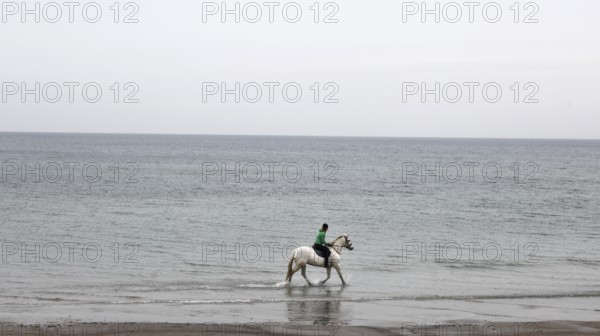 A female rider riding on a mold through the shallow water of the Baltic Sea, Scharbeutz, 27.11
