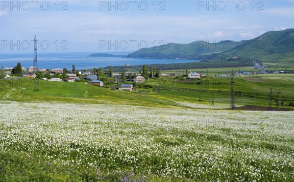 Wide view of flower fields and hills with a distant lake and village, view of Tsovagiugh and Lake