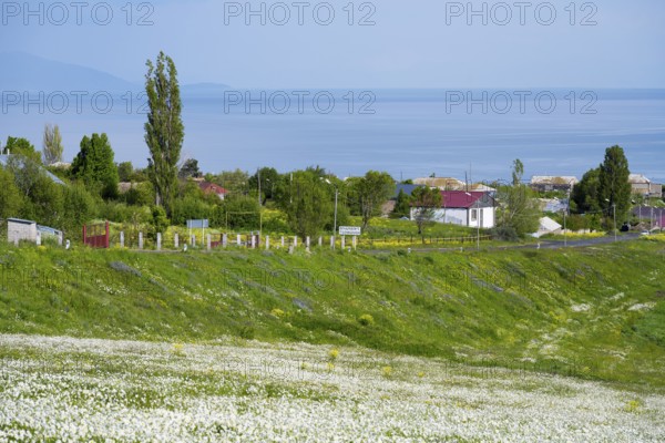Panoramic view of blooming meadows, trees and sea horizon with village, view of Tsovagiugh and Lake