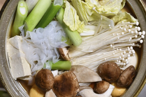Top view of Japanese nabe or nabemono soup dish with unkooked Chinese cabbage, tofu, enoki and