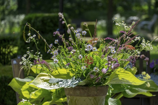 A colorful bouquet of wildflowers in a beige vase stands in the sunlight of a garden, the