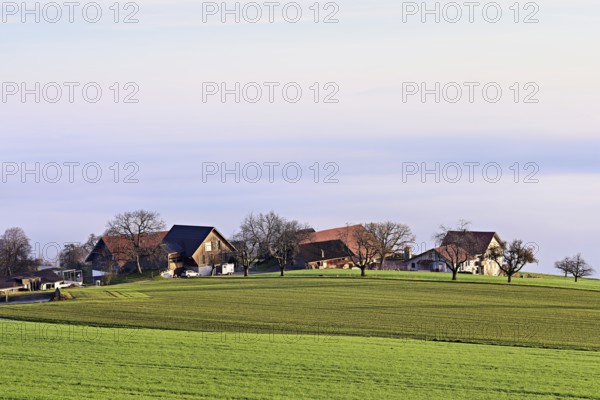 Village above a sea of fog, Brunnwil, Freiamt, Canton, Aargau, Switzerland