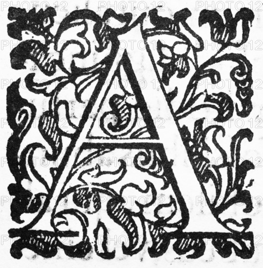 Initial, initial letter A, from: Ulysses Aldrovandi (1522-1603), Ornithologiae hoc est de avibus