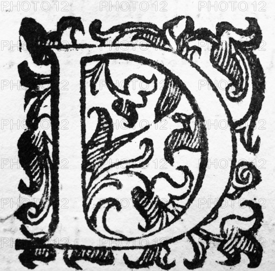 Initial, initial letter D, from: Ulysses Aldrovandi (1522-1603), Ornithologiae hoc est de avibus