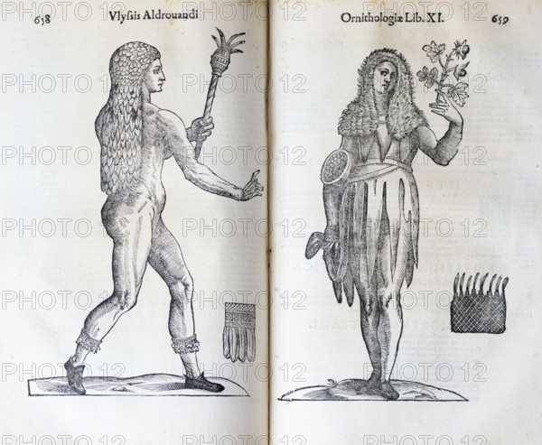 Woodcut, Regina insulae floridae, Queen of the Islands of Flowers, woman with flower in her hand