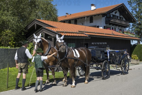 Decorated horses with carriage, team, parade at Tegernsee, Rosstag, Rottach-Egern, Upper Bavaria,