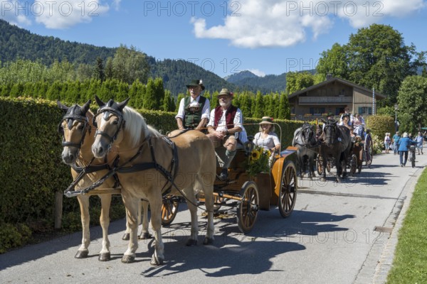 Decorated horses with carriage, horse team, parade at Tegernsee, Rosstag, Rottach-Egern, Upper