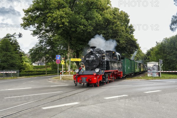 Speeding Roland, historic narrow-gauge railway, steam locomotive crossing a road, RÃ¼gen island,