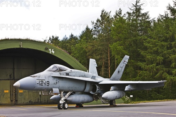 McDonnell Douglas FA-18D Hornet, aircraft, aircraft type, multi-role fighter aircraft, Spotterday,