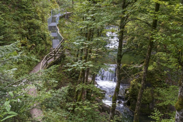 Weg am Rottach Wasserfall, Wald, Rottach-Egern, Mangfall Mountains, Upper Bavaria, Bavaria, Germany