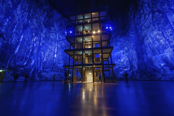 A large wooden structure in a blue-lit artificial forest backdrop, Amazonia exhibition, Gasometer,
