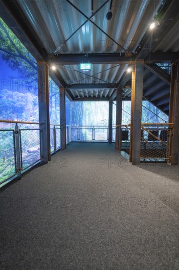 A corridor in an artificial forest setting with stairs and blue lighting, Amazonia exhibition,