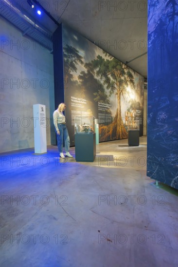 Woman looking at a large painting of a tree in a museum with blue lighting, Amazonia exhibition,