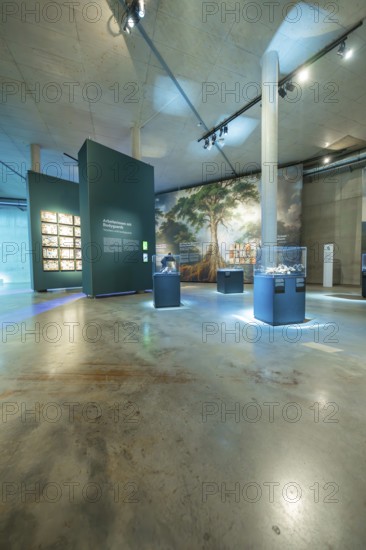 A museum with paintings and exhibits in an extensive exhibition, Amazonia exhibition, Gasometer,
