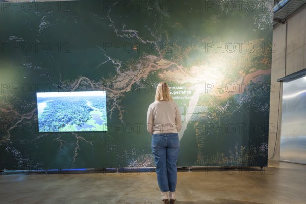 Woman looking at a large wall map in a museum exhibition with a focus on green colors, Amazonia