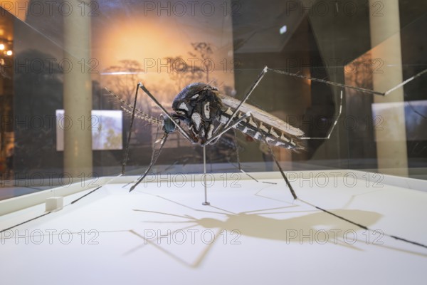 Large sculpture of an insect presented in an exhibition room, Amazonia exhibition, Gasometer,