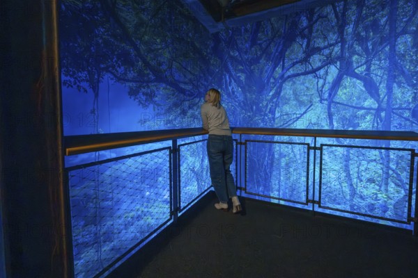 Woman enjoying the view of a magical blue-lit forest scene from the balcony, Amazonia exhibition,