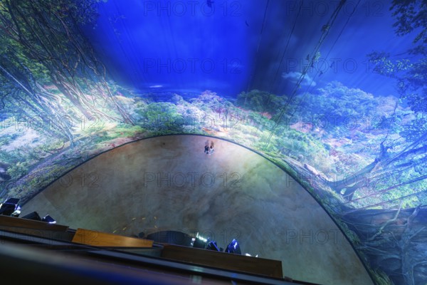 Spectacular interior view of a circular forest projection, Amazonia exhibition, Gasometer,