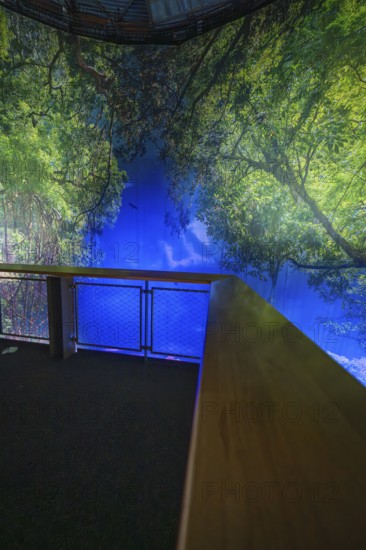 Inspiring indoor projection of a picturesque forest panorama, Amazonia exhibition, Gasometer,