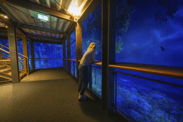 Woman leaning on a balcony looking at a blue-lit forest projection, Amazonia exhibition, Gasometer,
