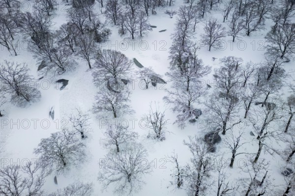 Winter landscape in frost, floodplain landscape, snowy, frost, frozen, river landscape, landscape