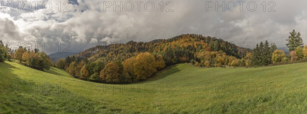 Vast green field features trees with gold and red leaves. The grey sky brings drama to this