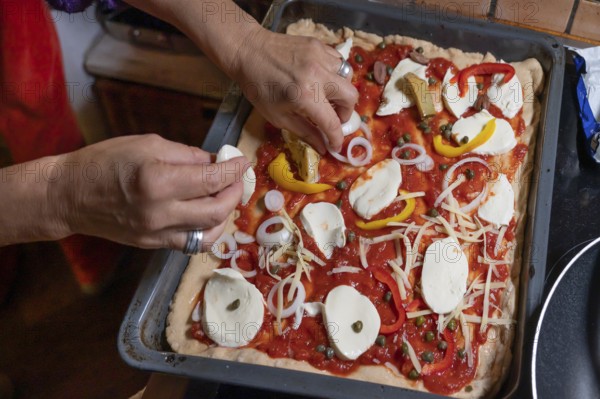 Topping a homemade pizza, gorgonzola and tomatoes, olives and parika on a baking tray, Othenstorf,