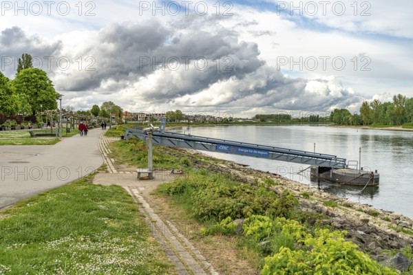 Rhein Promenade Helmut-Kohl-Ufer in Speyer, Rhineland-Palatinate, Germany