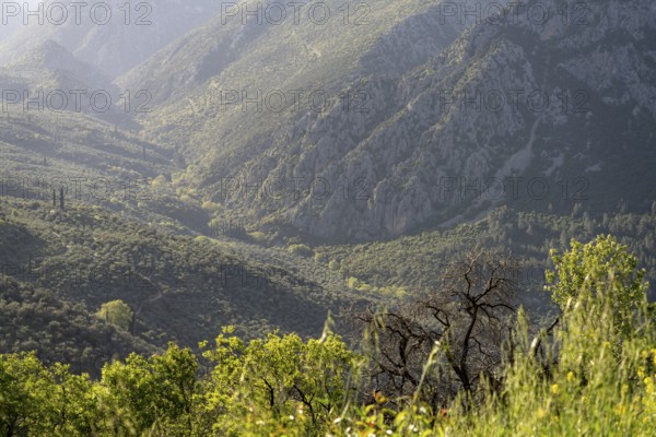 Valley in the countryside near the archaeological site of Delphi, UNESCO World Heritage Site in
