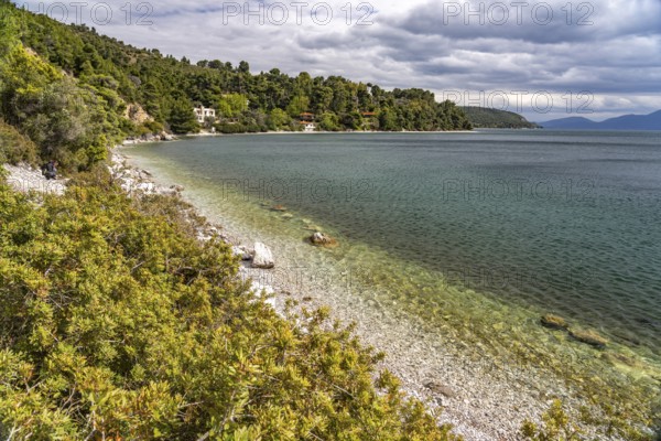 Beach near Dafni on the island of Euboea or Evia, Greece