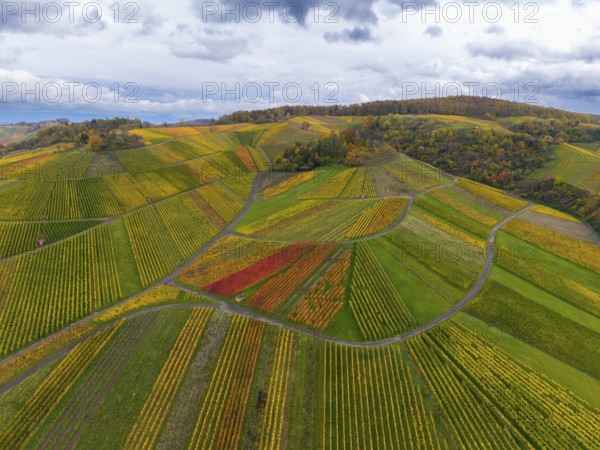 Multicoloured vines and cloudy sky over hilly landscape, autumn, near StrÃ¼mpfelbach im Remstal,