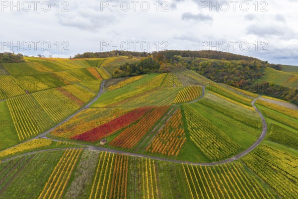 Landscape with colorful vineyards and clouds in the sky, autumn, near StrÃ¼mpfelbach im Remstal,