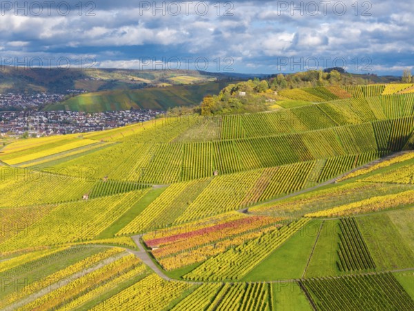 Landscape view of hills full of colorful vines with a village and clouds in the background, autumn,