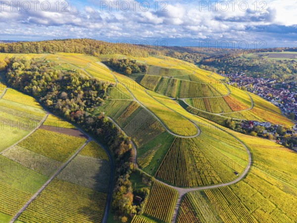 Aerial view of vineyards with winding paths, glowing leaves and cloudy sky, autumn, near