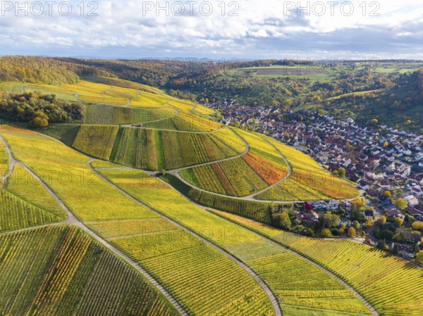 Hilly vineyards with a village on the edge and cloudy sky above, autumn, near StrÃ¼mpfelbach im