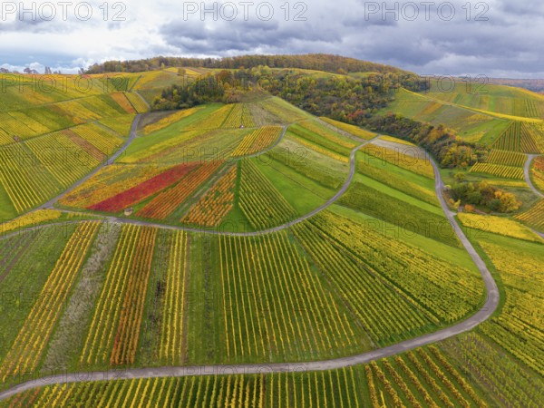 Diverse colors of the vineyards with shady skies above, autumn, near StrÃ¼mpfelbach im Remstal,