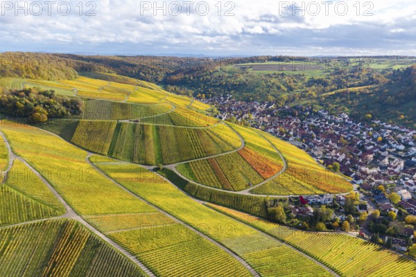 Colourful vineyards in autumn with a village in the background under a cloudy sky, autumn, near